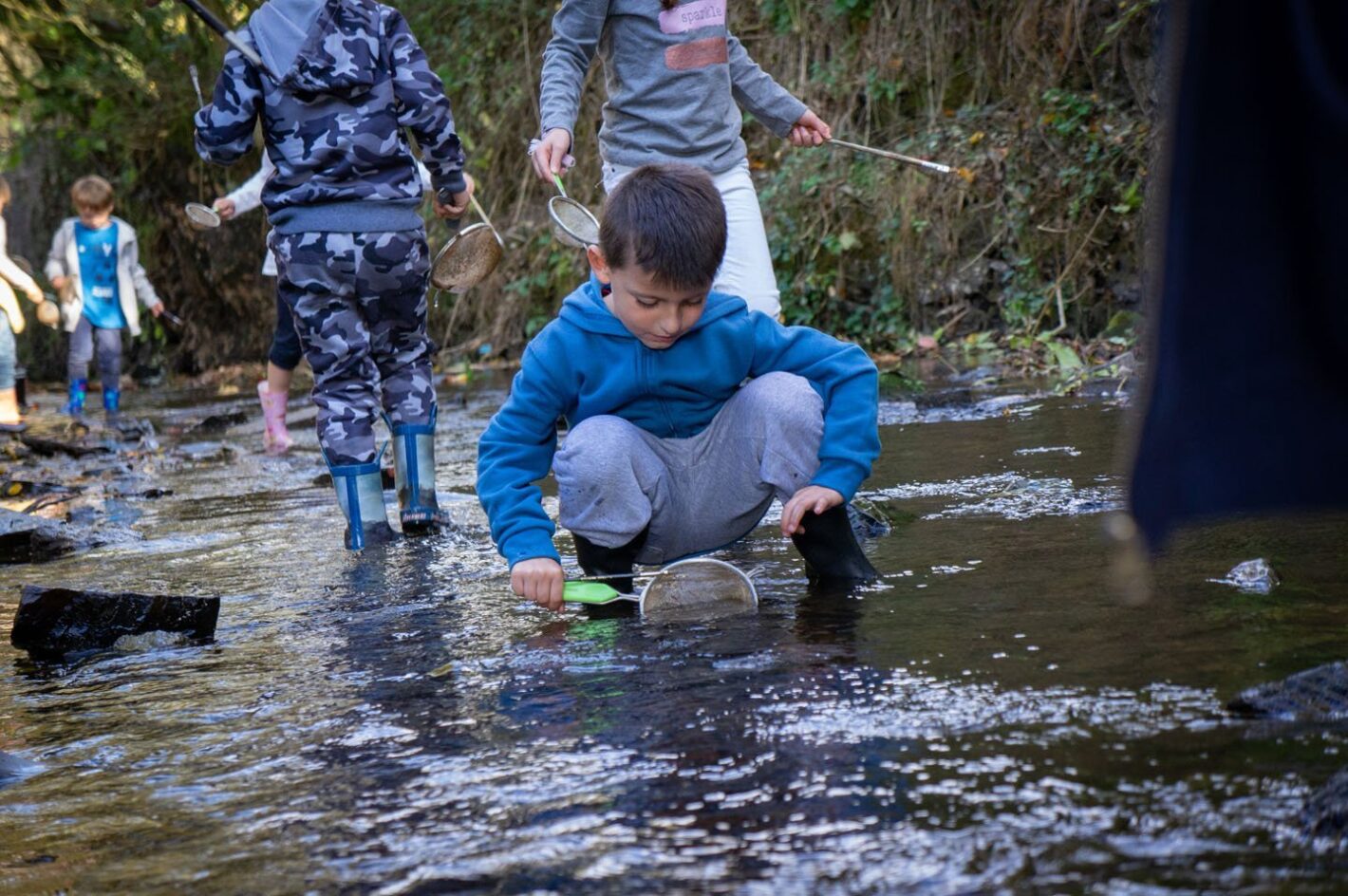 kuz-18-10-wasserdsc02887.jpg