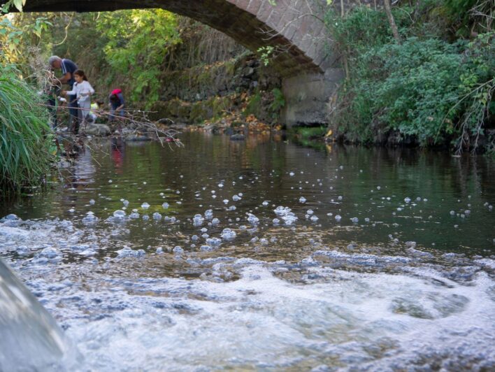 kuz-18-10-wasserdsc02894-1.jpg